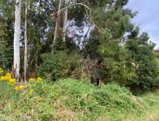 Участок в хорошем месте.