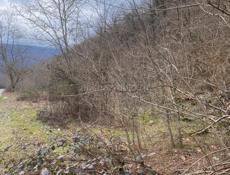 Каманы Срочно! Рассрочка!