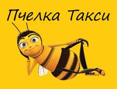 Водители в такси пчелка