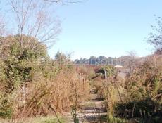 участок на берегу моря 