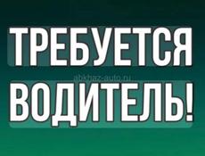 Требуется водитель 
