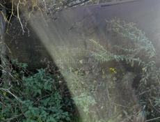 Цистерна бак