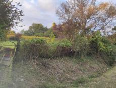 ПРОДАЁТСЯ УЧАСТОК В ГУДАУТЕ