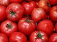 Томаты-помидоры