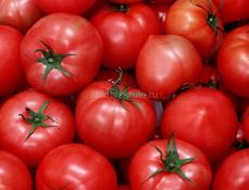 Томаты-помидоры