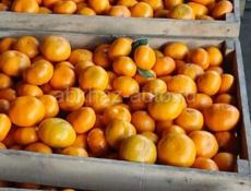 Сладкие мандарины