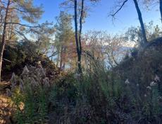 Очень хороший участок в живописном месте с выходои к морю . 