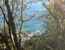 Очень хороший участок в живописном месте с выходои к морю . 