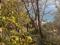 Очень хороший участок в живописном месте с выходои к морю . 