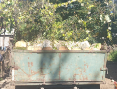 Дрова Ахьаца 25-30 ты связь 9961888