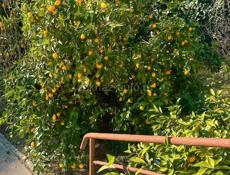 3 - ХЭТАЖНЫЙ ДОМ В ЦЕНТРЕ СУХУМА