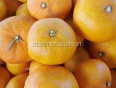 ПРОДАМ ИЩУ РАБОТУ  !! 