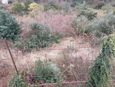 Участок со строением 