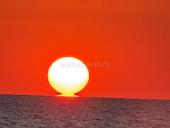 Требуется ведущий 