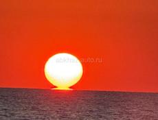 Требуется ведущий 