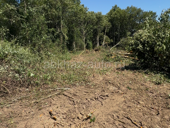 Золотой берег  🔥 15 соток ! 