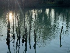 Золотой берег  🔥 15 соток ! 