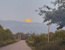 Золотой берег  🔥 15 соток ! 