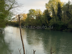 Золотой берег  🔥 15 соток ! 