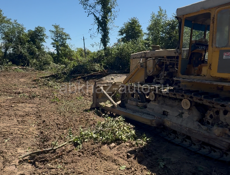 Золотой берег  🔥 15 соток ! 