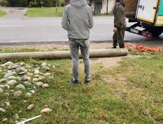 Ищу девушку для совместного проживания