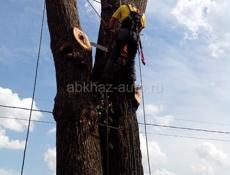 СПИЛ АВАРИЙНЫХ ДЕРЕВЬЕВ 