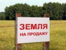 Аэропорт рядом с родником кодор