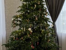 Ёлка новая 270см