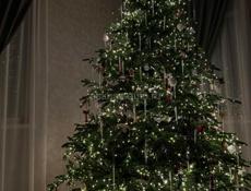 Ёлка новая 270см