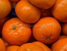 продам мандарины 