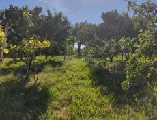 2 эт.дом,25 сот,довоенный,урожай 5 ТН,вид на море,горы