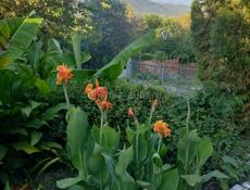 2 эт.дом,25 сот,довоенный,урожай 5 ТН,вид на море,горы