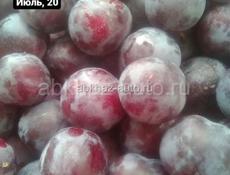 Саженцы Фруктов