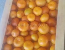 мандар это аранжевый продаю до десяти тон