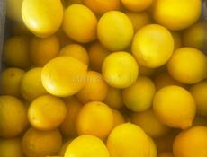 Лимоны 🍋