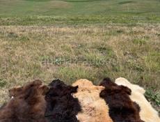 Ковёр из шкуры горного ягненка