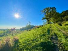 УЧАСТОК 39 СОТОК  с. Лдзаа за 5,5 млн.₽