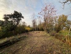 Дом с участком – 5 минут до моря и центра Сухума