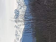 СРОЧНО ,ТАКАЯ ЦЕНА ДО ДЕКАБРЯ.