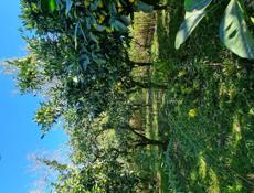 СРОЧНО ,ТАКАЯ ЦЕНА ДО ДЕКАБРЯ.