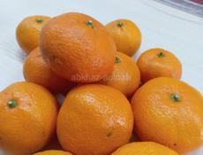Продам мандарины свежесобранный. 35 ящиков. 