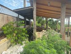 Дом в нижней эшере