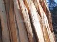 Колышки для ограды 