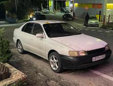 Toyota Corona