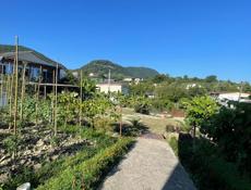 На длительный срок 