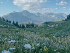 Бесплатное проживание. 