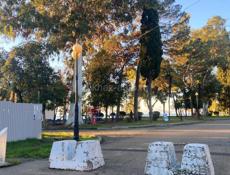 Продаются Цинкары срочно 