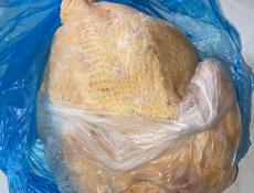 Продаются домашние курочки . 