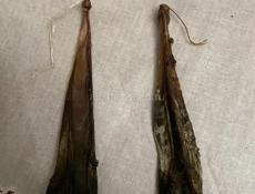 Продается медвежий желчь 