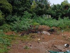 Гагра колхида ул фруктовая